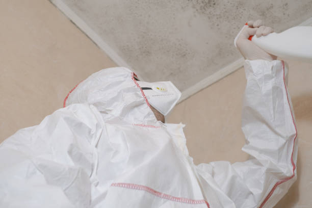 Best Fast Mold Removal  in Coshocton, OH