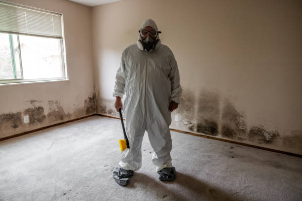 Best Local Mold Removal Service  in Coshocton, OH