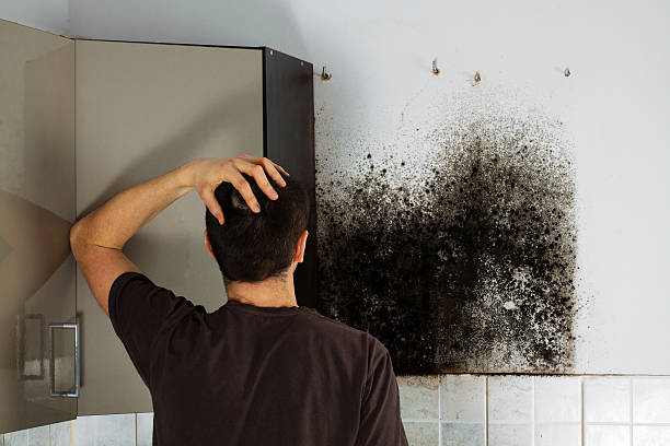 Best Office Mold Removal Services  in Coshocton, OH